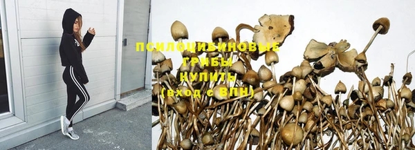 скорость Абинск